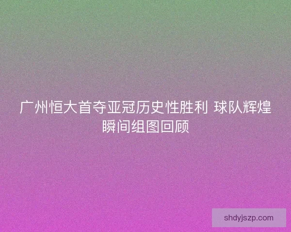 广州恒大首夺亚冠历史性胜利 球队辉煌瞬间组图回顾 广州恒大首夺亚冠历史性胜利 球队辉煌瞬间组图回顾